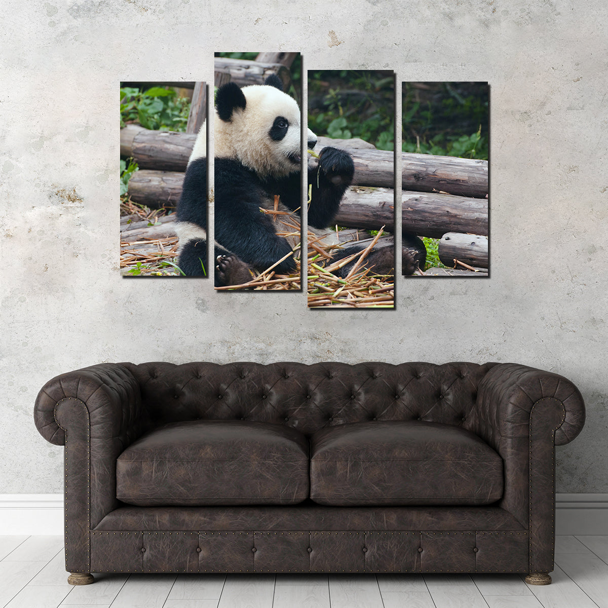 Adorable Panda Bear Eating Bamboo Wall Art for Home Decor
