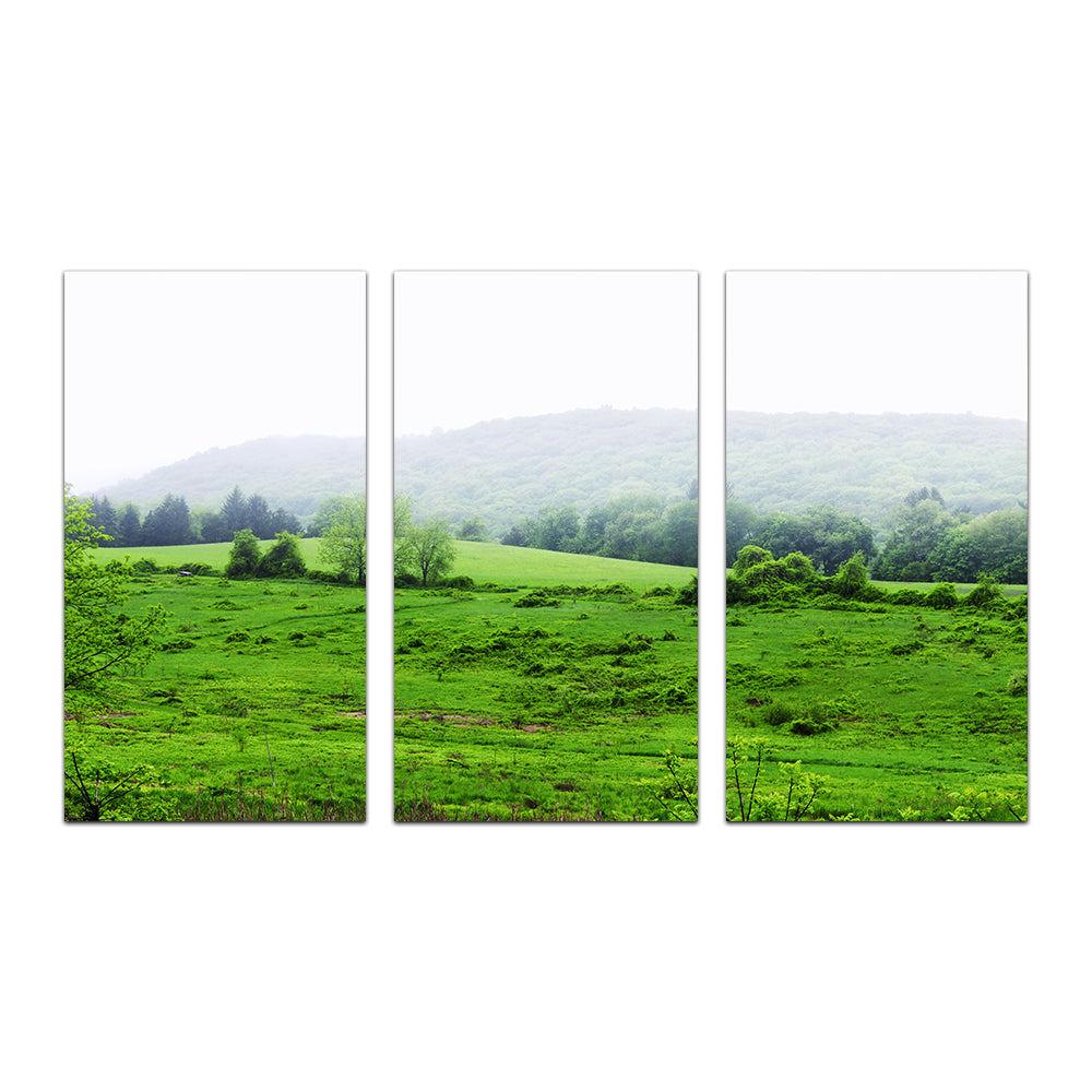 Tarrywile Park Stunning Wall Art for Your Home