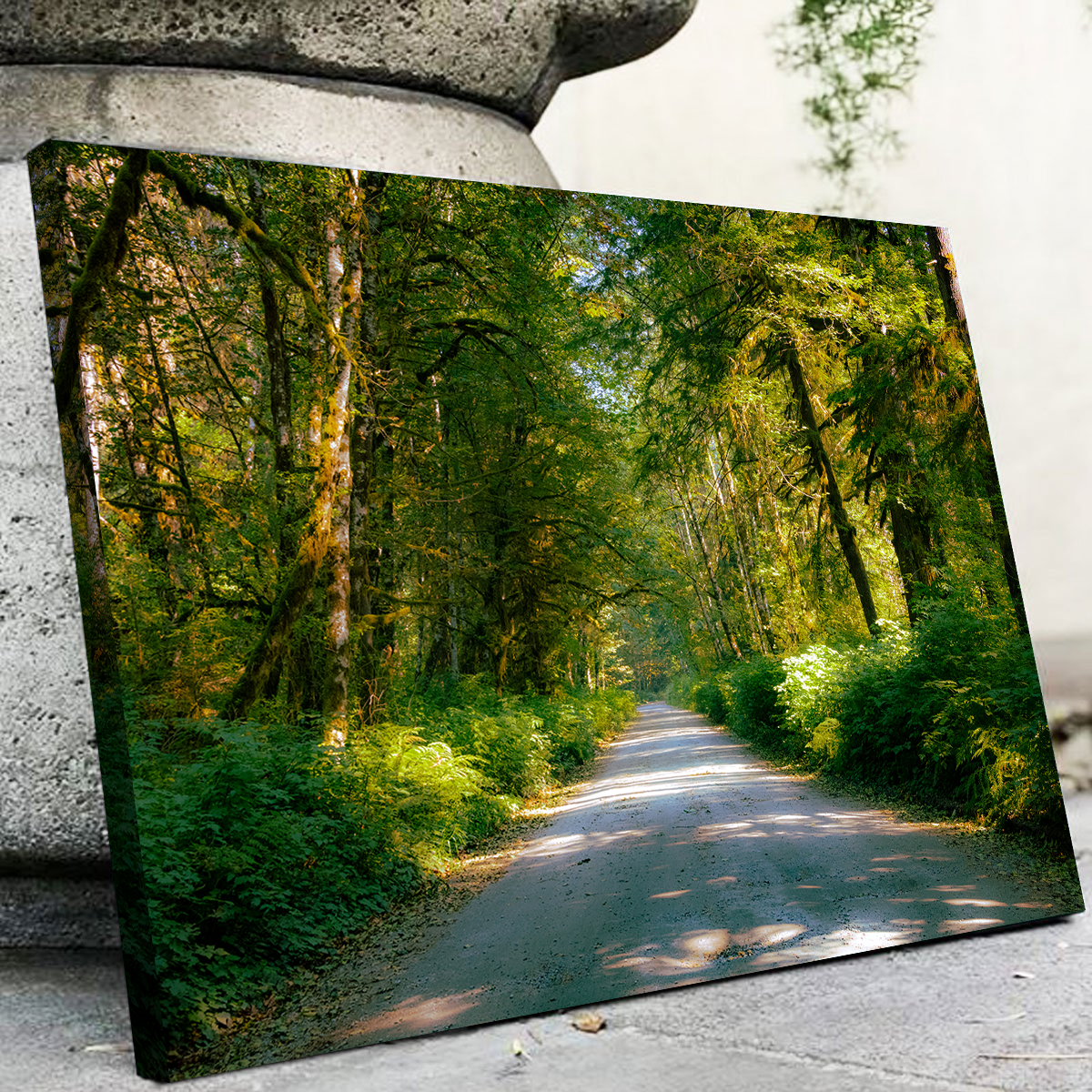 Exquisite Rainforest Road Wall Art by Kyle Sherry