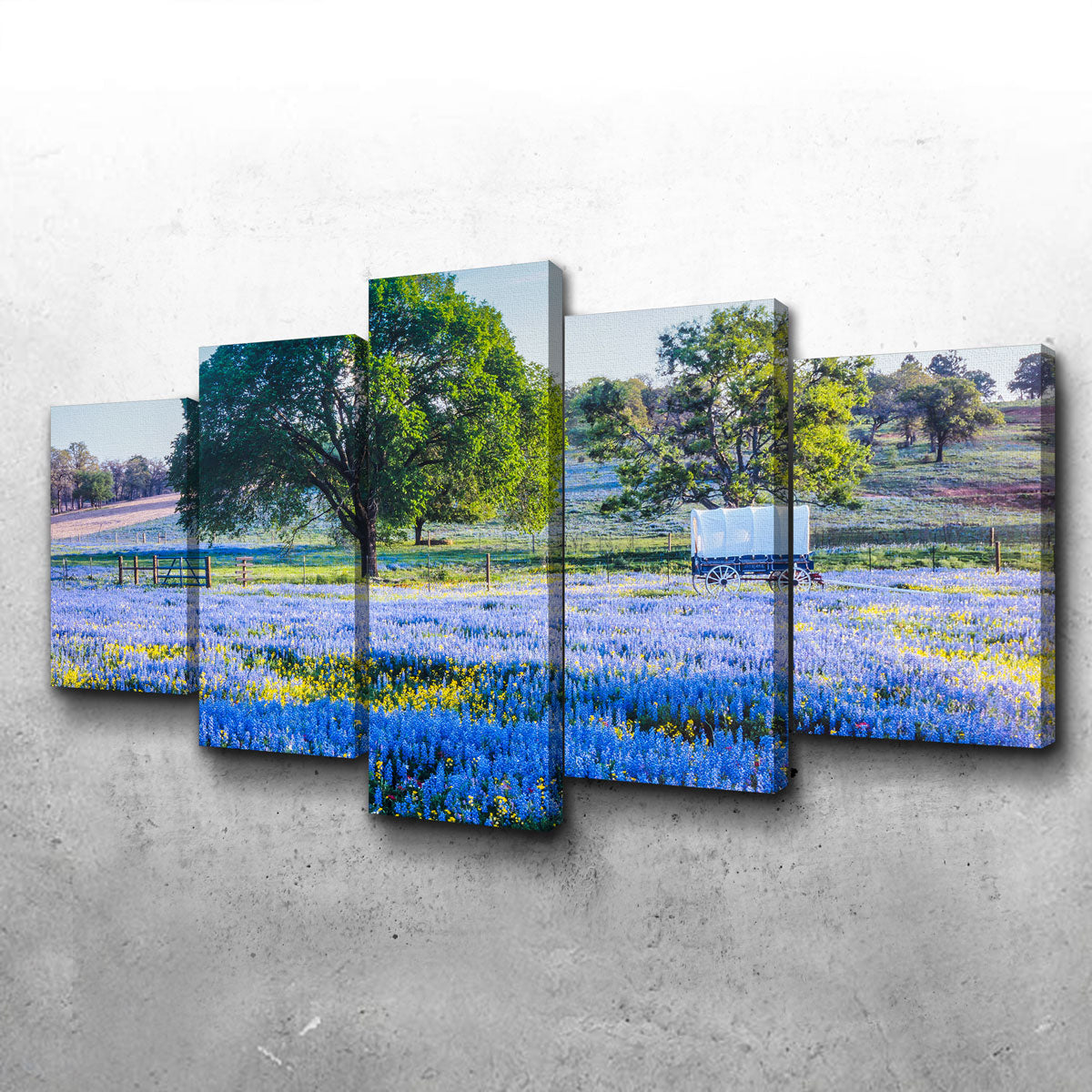 Gorgeous Texas Hill Country in Spring Wall Art for Stunning Home Decor