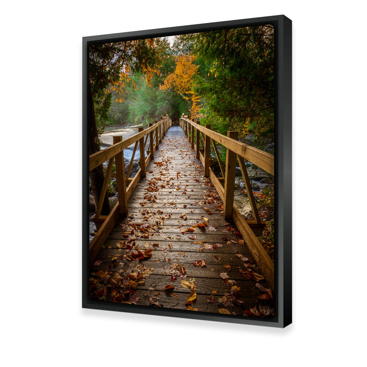 Breathtaking A Walk in the Woods Wall Art by Dennis Maida