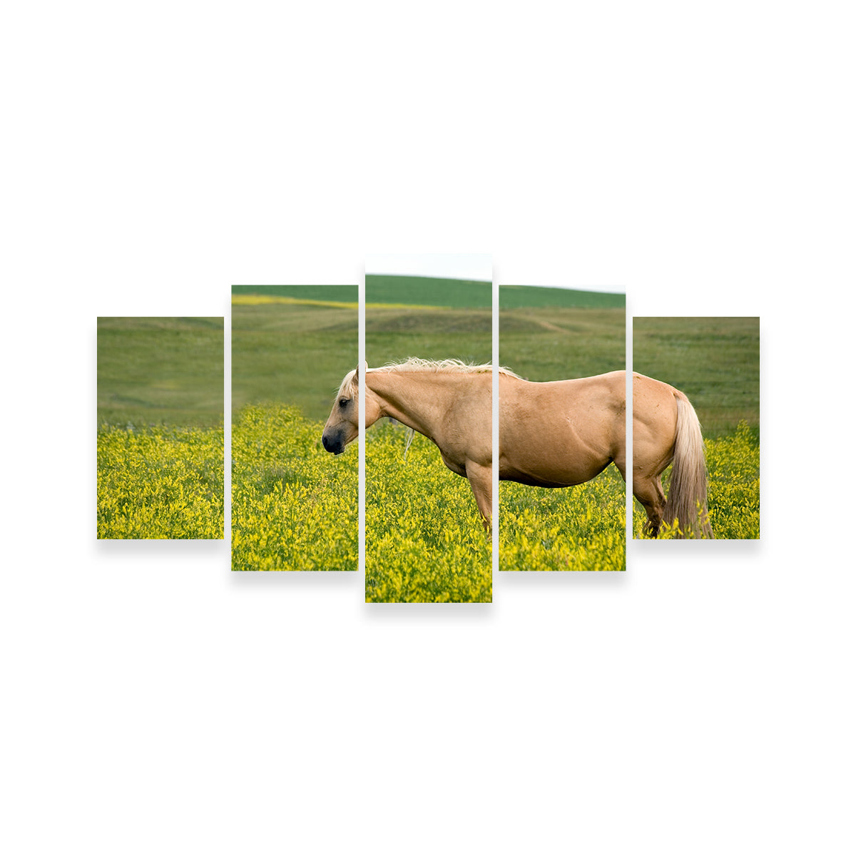 Stunning Palomino Quarter Horse Wall Art for Your Home Decor