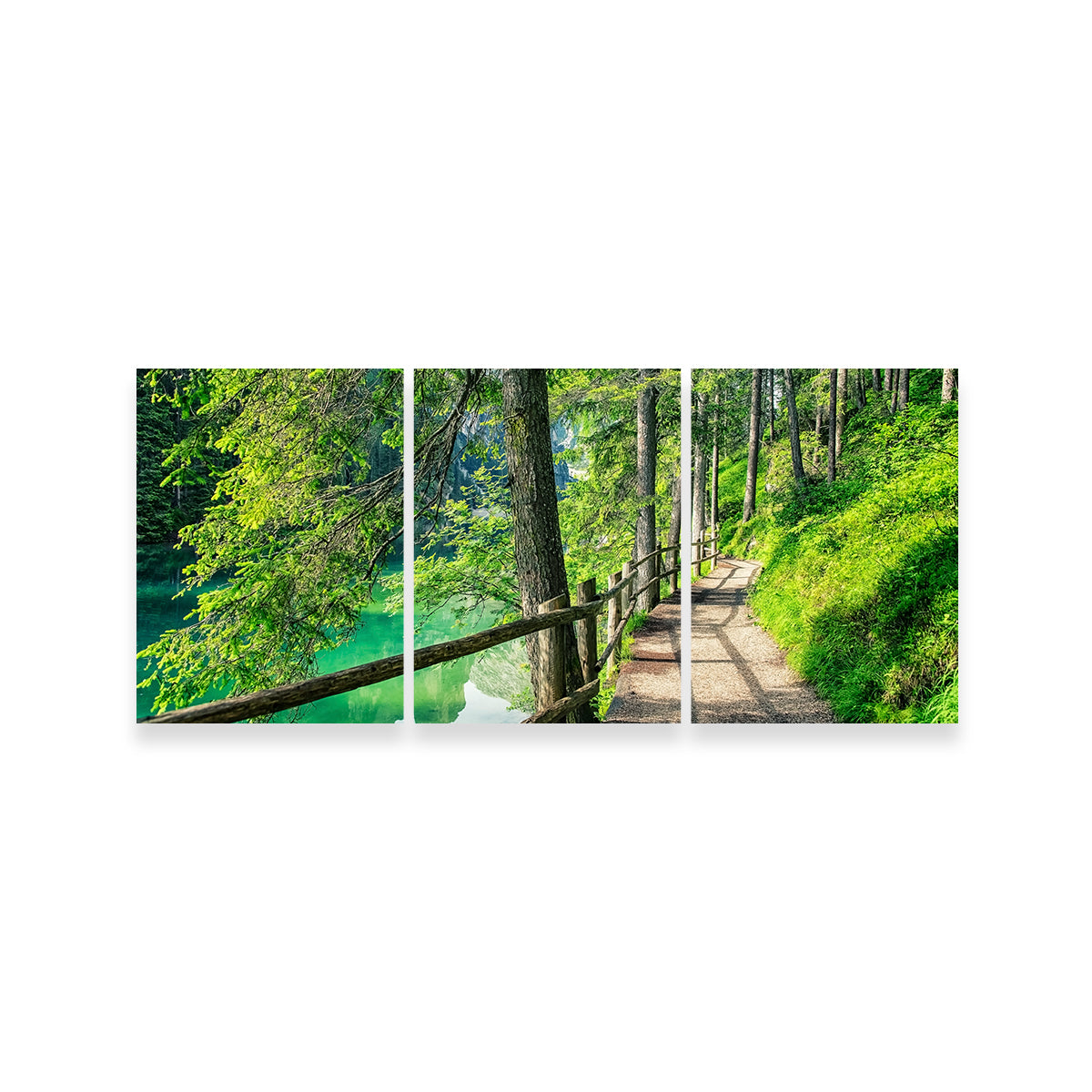Stunning Path By The Lake Wall Art for Your Home Decor