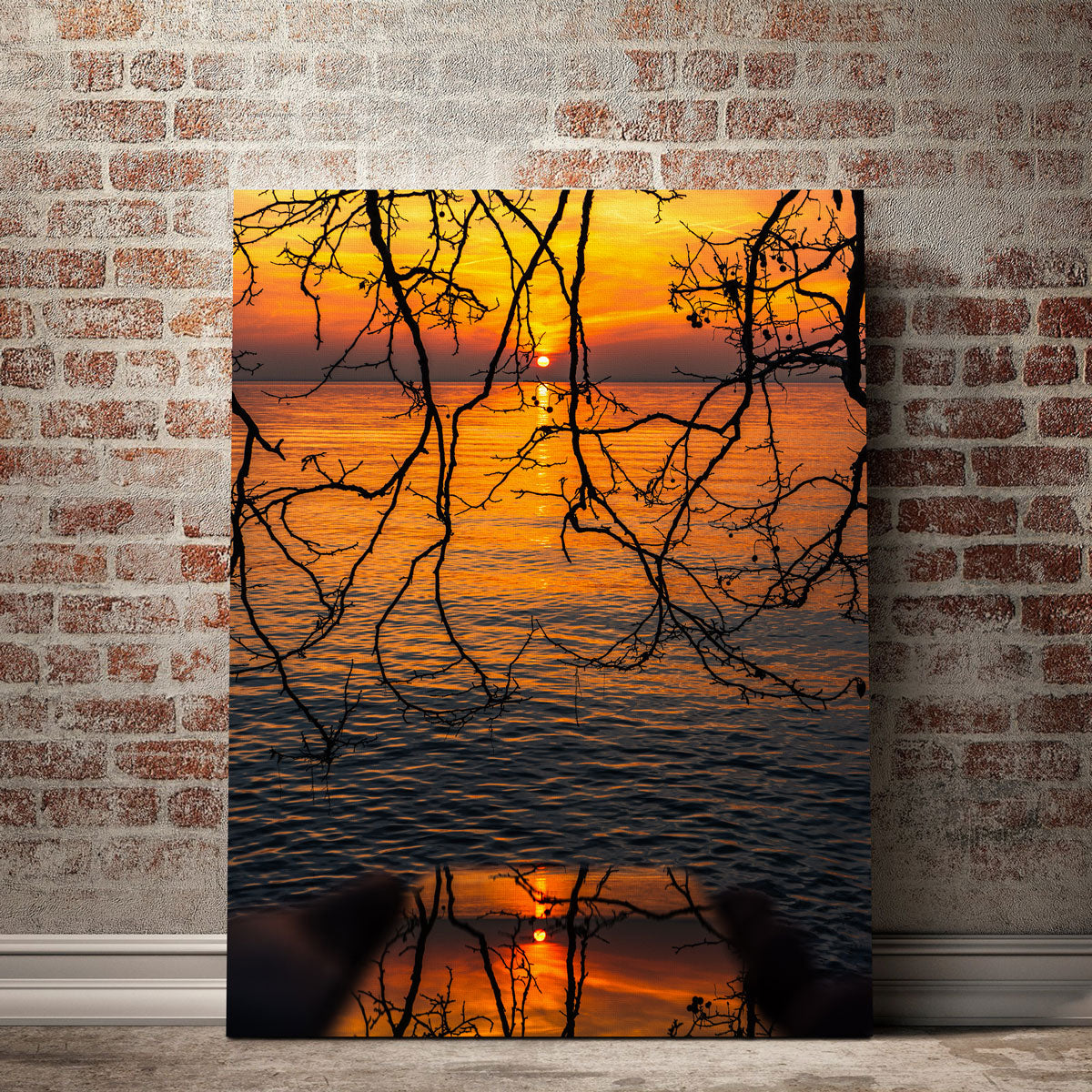 Captivating A Game of Reflections Wall Art by Stefano Baltieri