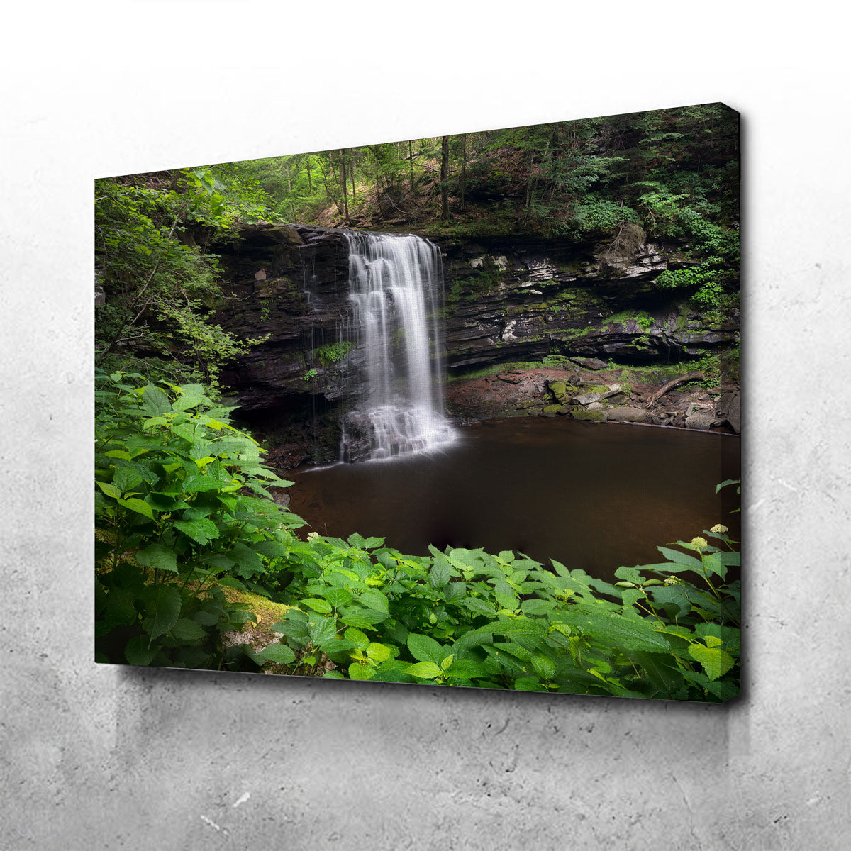 Stunning Green Eye Wall Art by Shaun Mayer