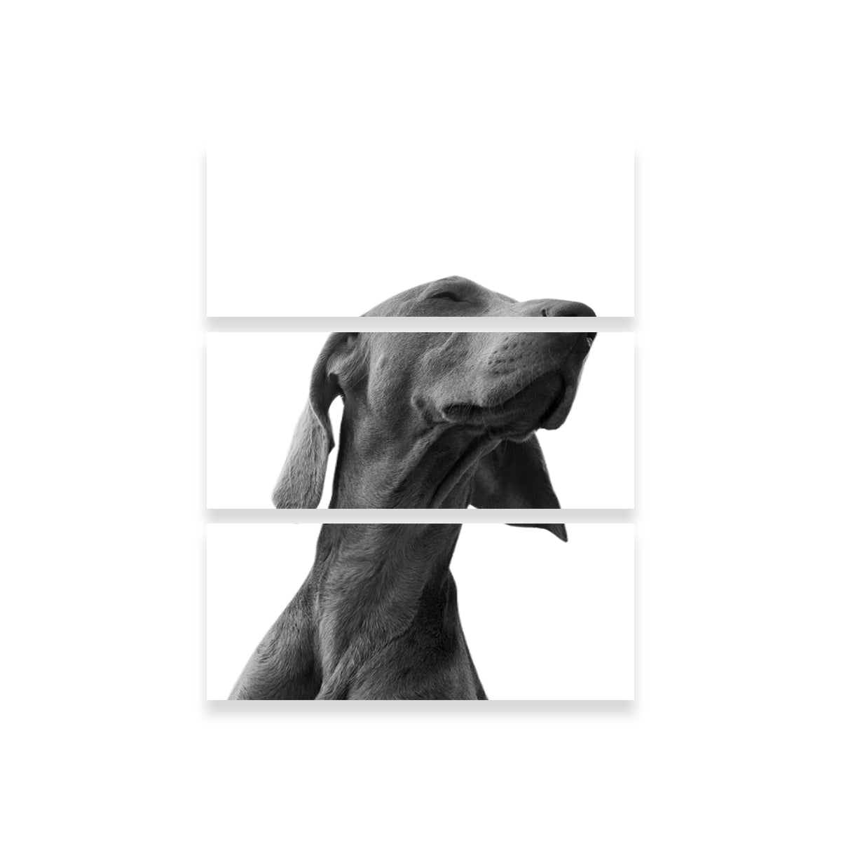 Stunning Black Dog Wall Art by Lawisi