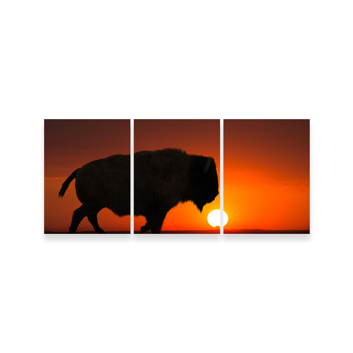 Stunning Bison at Sunset Wall Art for Your Home Decor