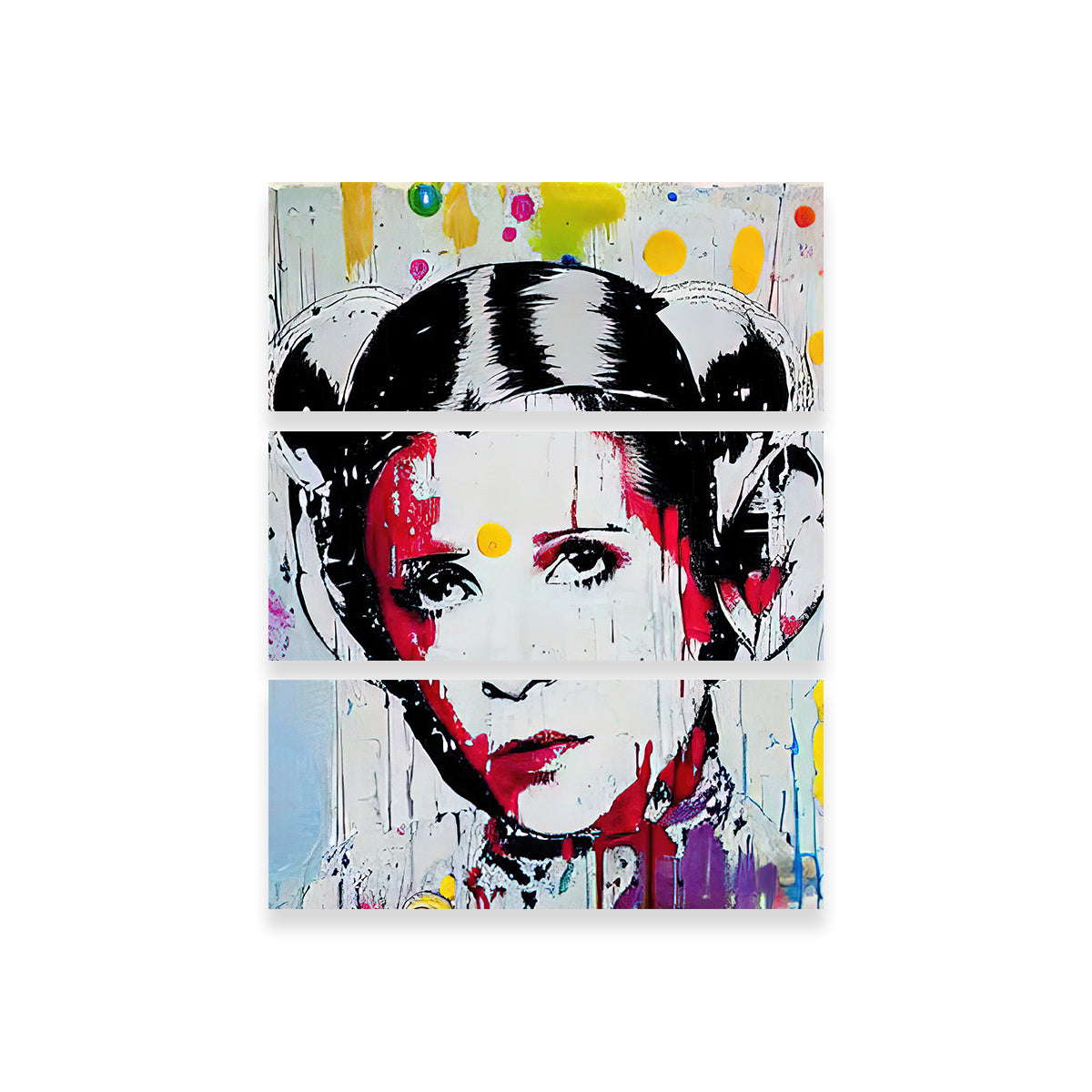 Stunning Princess Leia Wall Art by Stephen Chambers