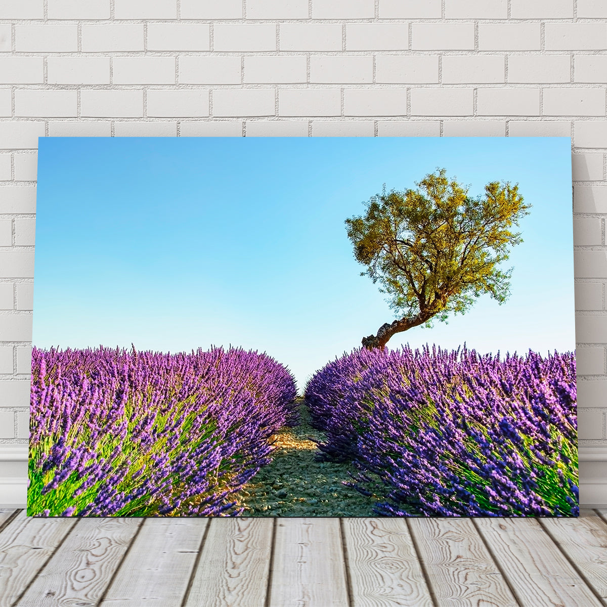 Exquisite Provence Landscape Wall Art for Stunning Home Decor