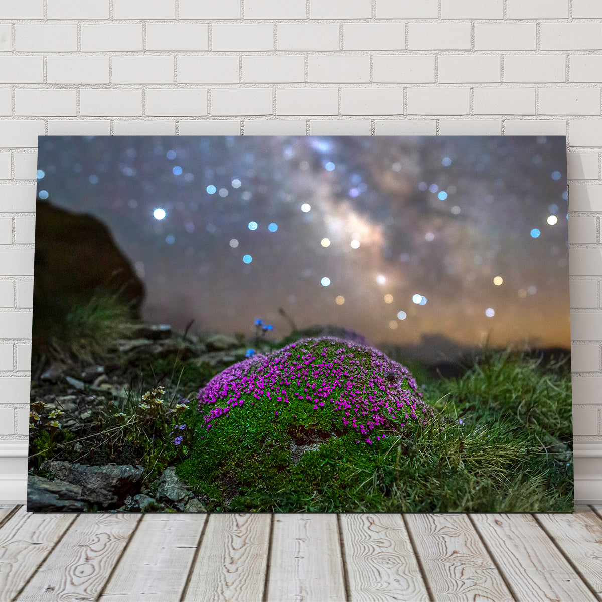 Gorgeous Star Studded Silène Wall Art by Jeff Graphy