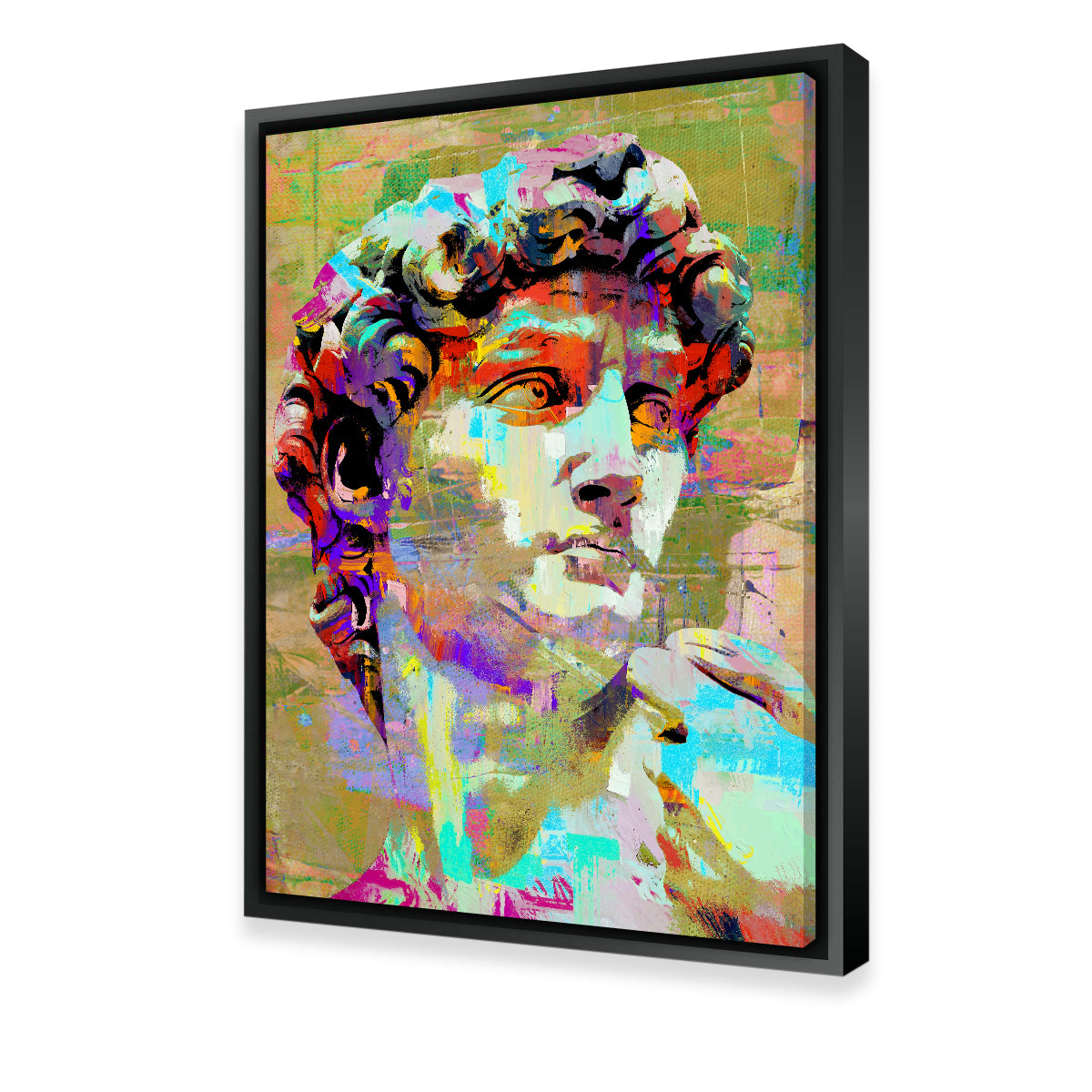 Exquisite David of Michelangelo Wall Art by Stephen Chambers