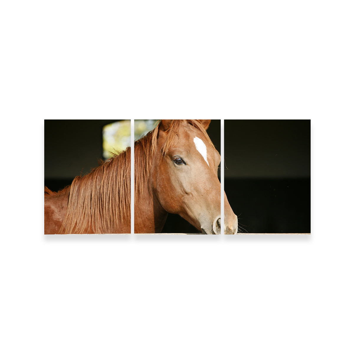 Stunning Chestnut Horse Wall Art for Home Decor