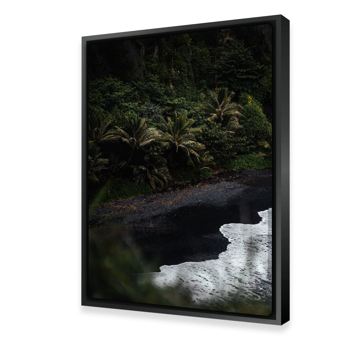 Exquisite Black Sand Palms Wall Art by Lucas Moore