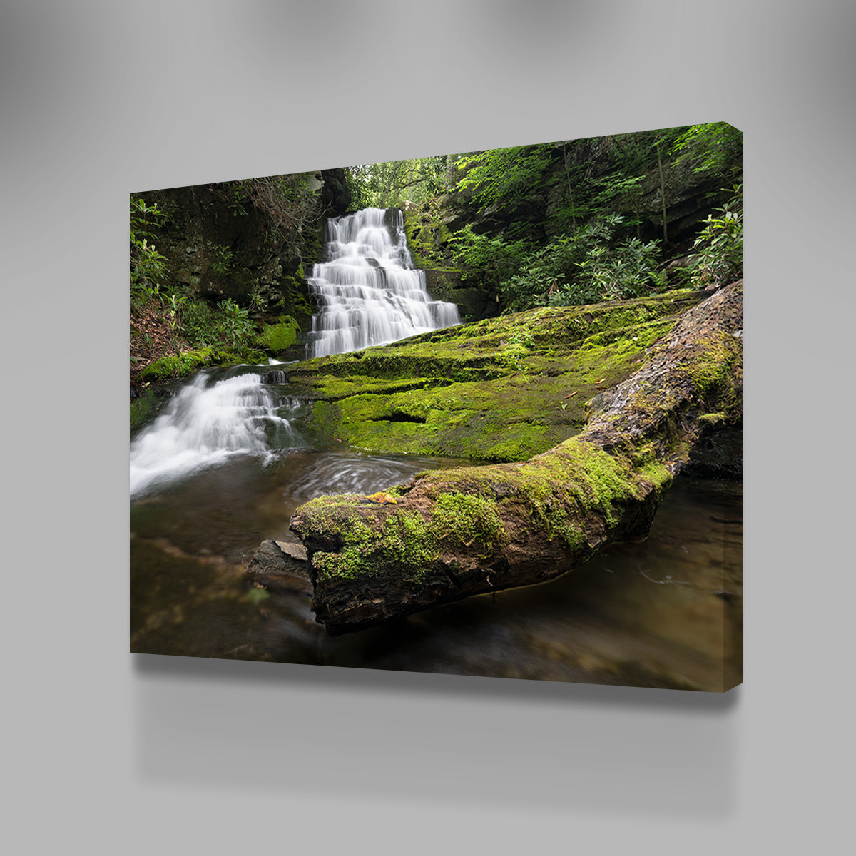 Stunning Rattlesnake Falls Wall Art by Shaun Mayer