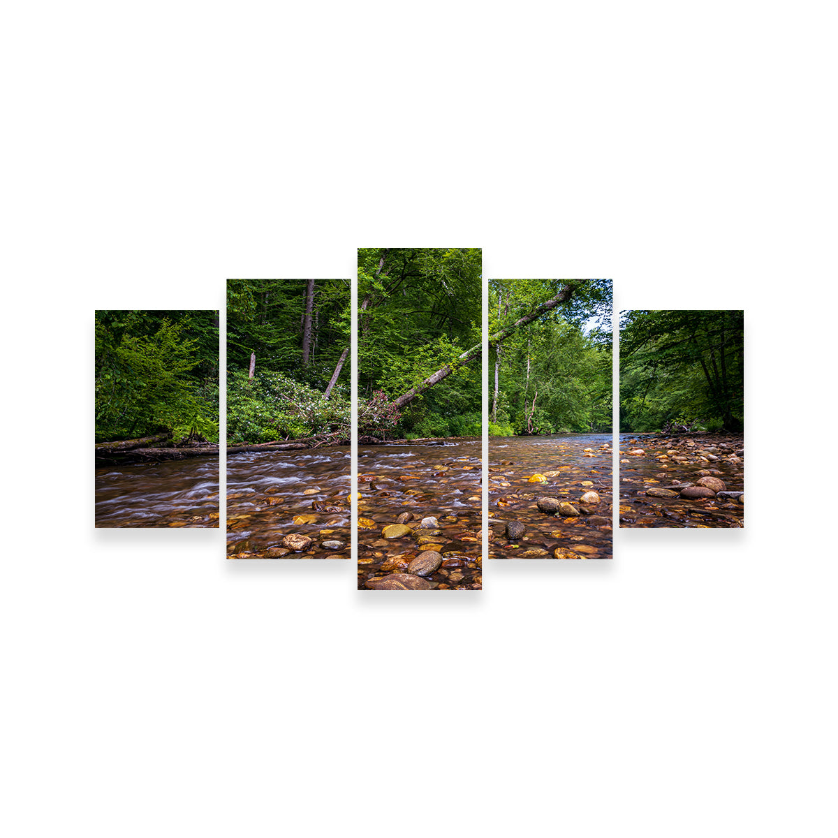 Stunning Blue Ridge Pky NC Wall Art by Barry Pack
