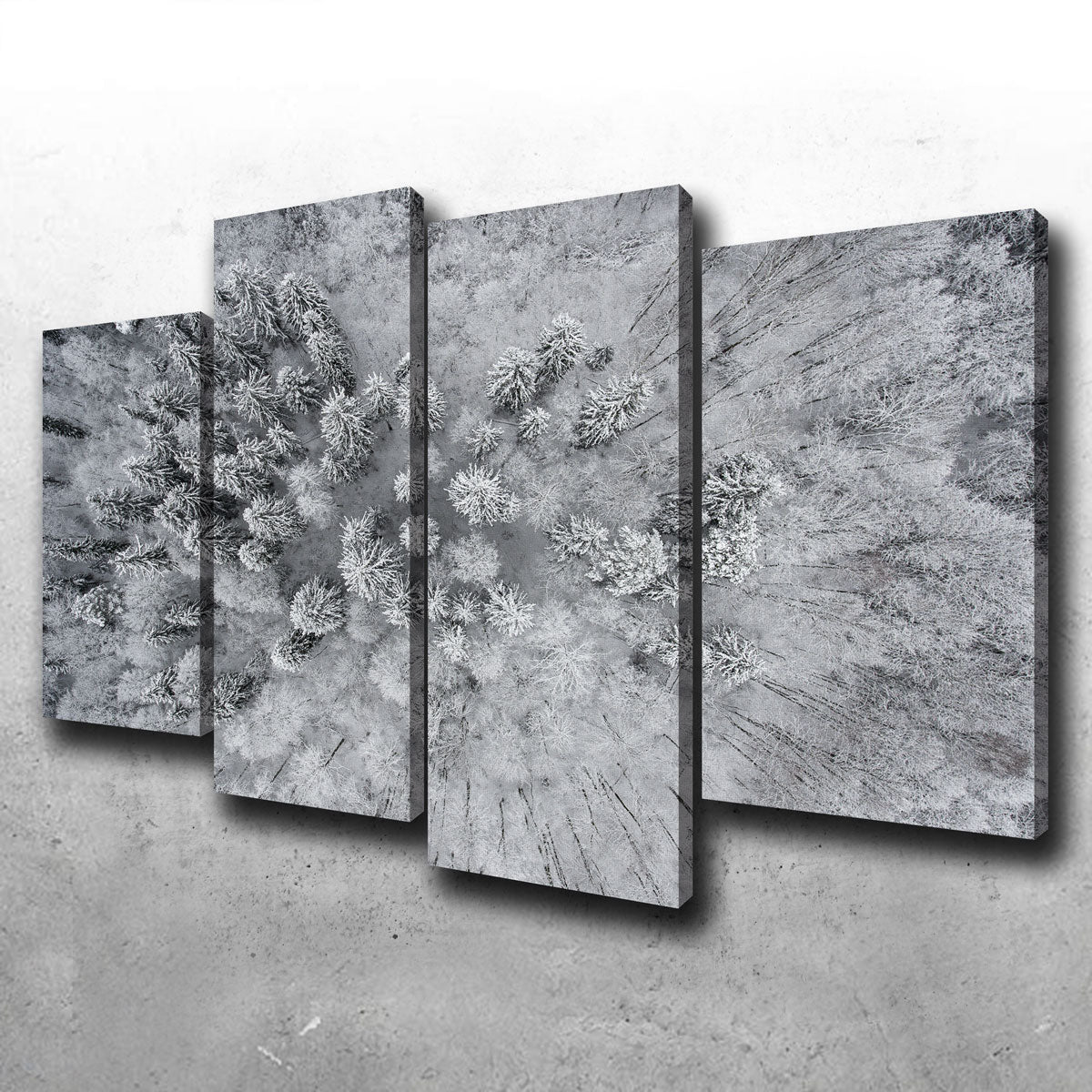 Exquisite Forest Snow Wall Art by Karolis Janulis