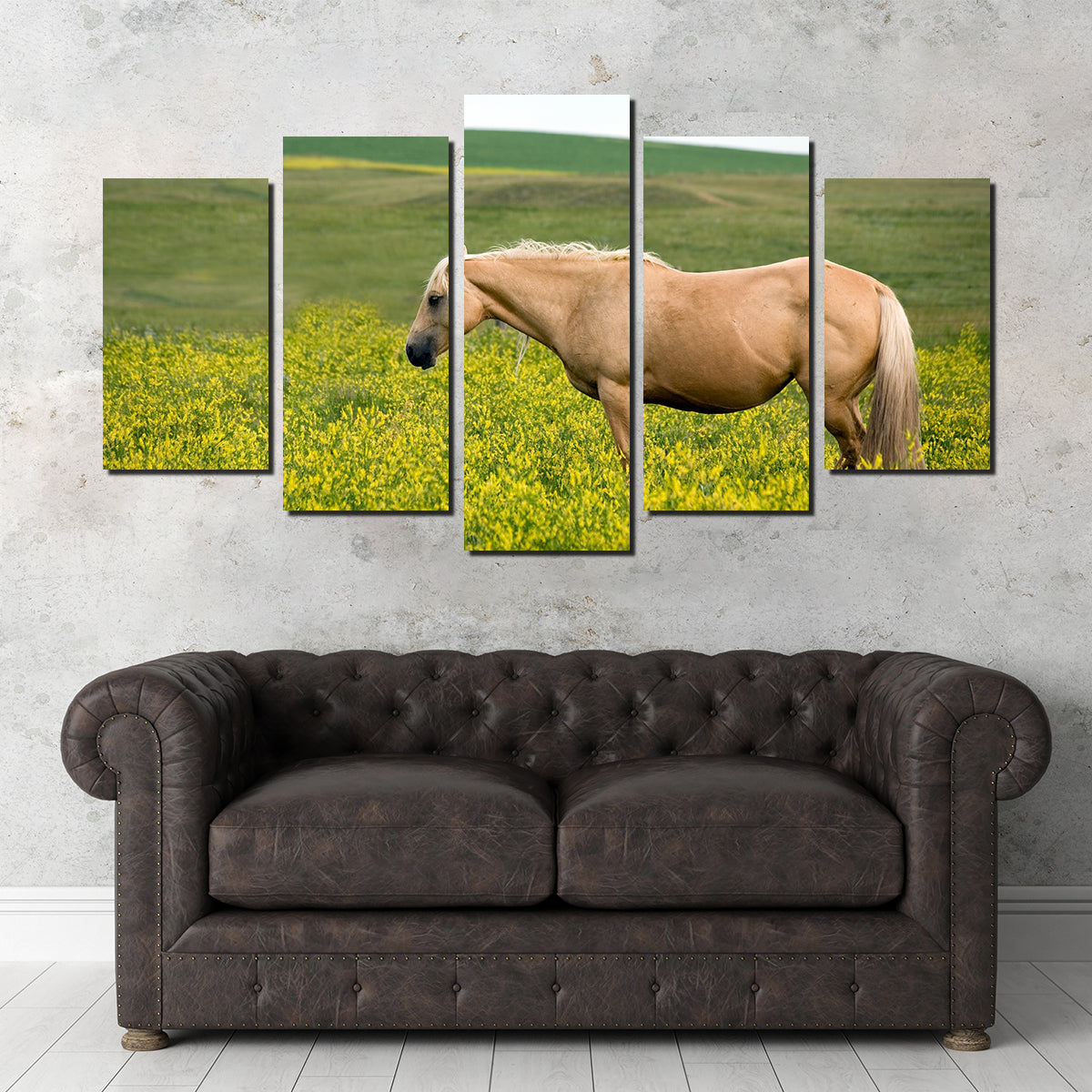 Stunning Palomino Quarter Horse Wall Art for Your Home Decor