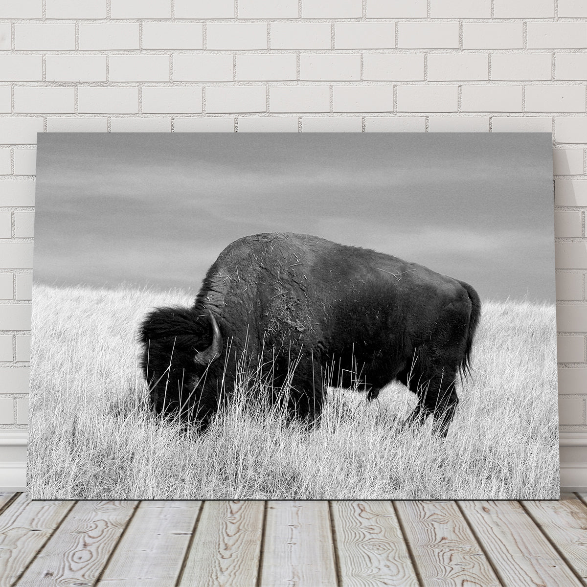 Lone Buffalo Grayscale Wall Art - Stunning Sustainable Decor