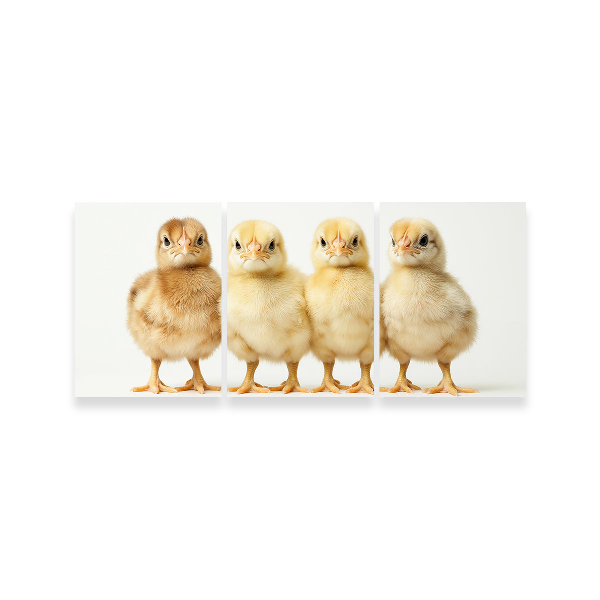 Adorable Four Baby Chickens Wall Art for Your Home Decor