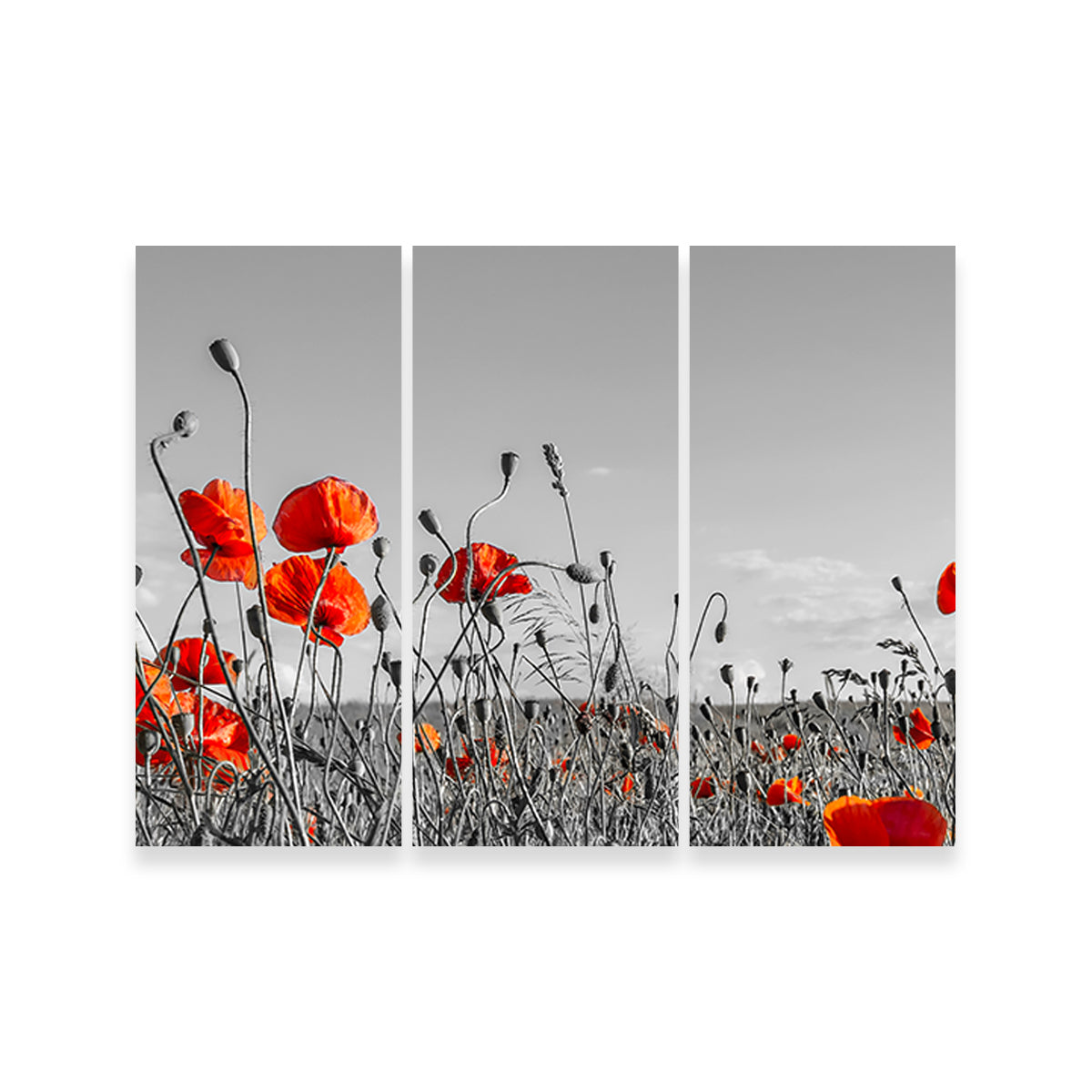 Gorgeous Lovely Poppy Field Wall Art for Home Decor