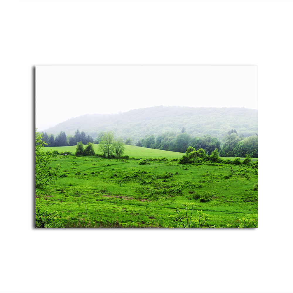 Tarrywile Park Stunning Wall Art for Your Home