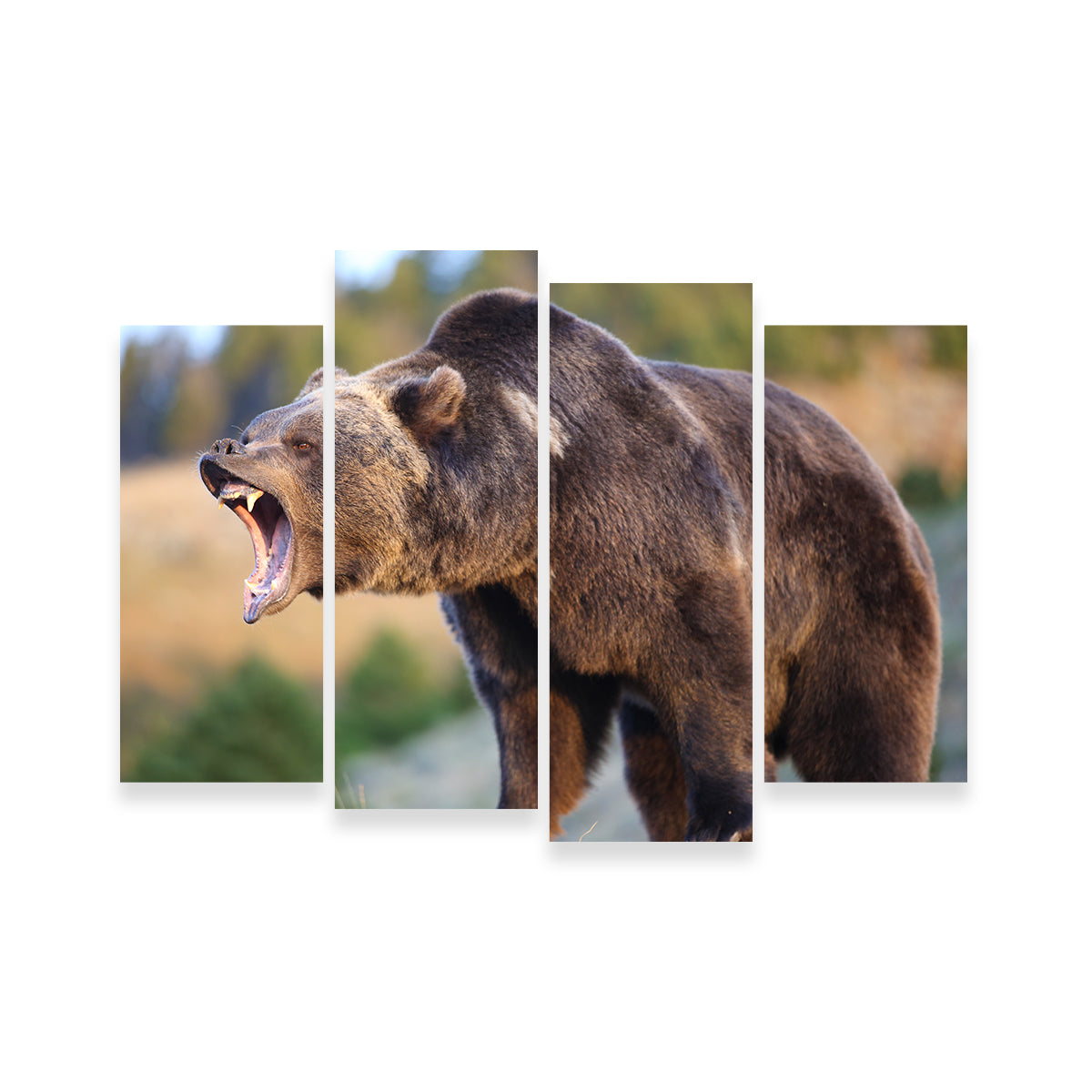 Stunning Grizzly Bear Growling Wall Art for Your Home Decor