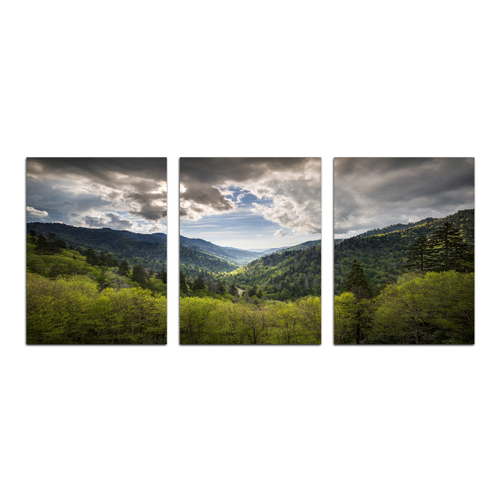 Stunning Great Smoky Mountains National Park Wall Art for Your Home Decor