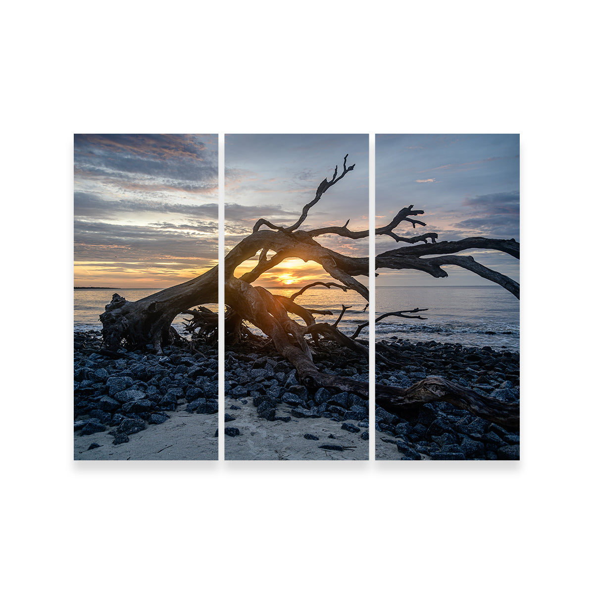 Exquisite Jekyll Island, Georgia Wall Art by Barry Pack
