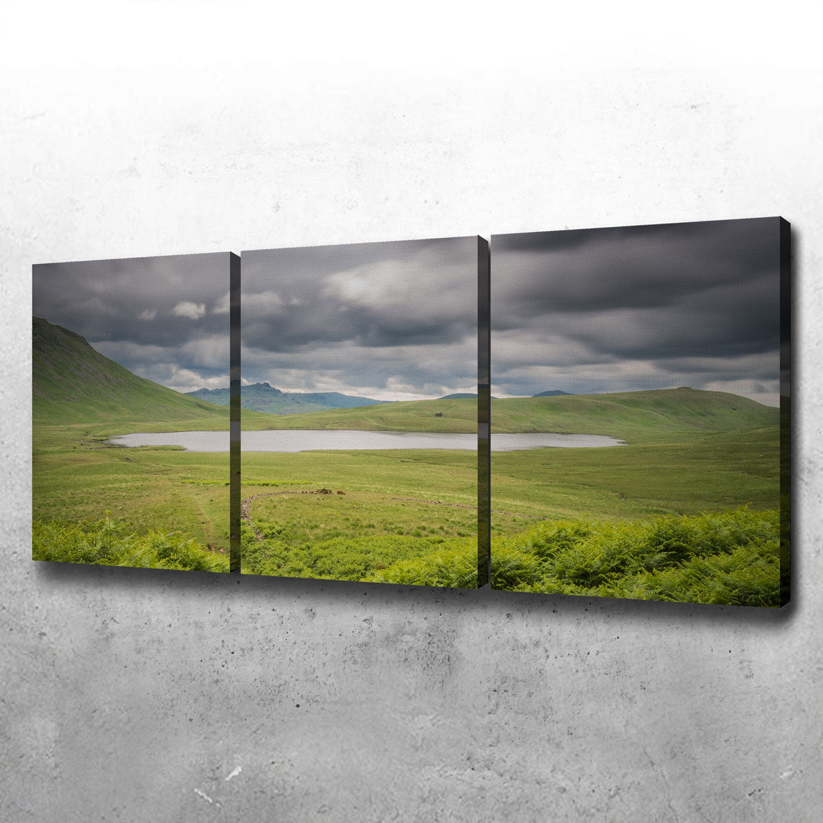 Stunning Lonely Pond Wall Art by Mike Cotton