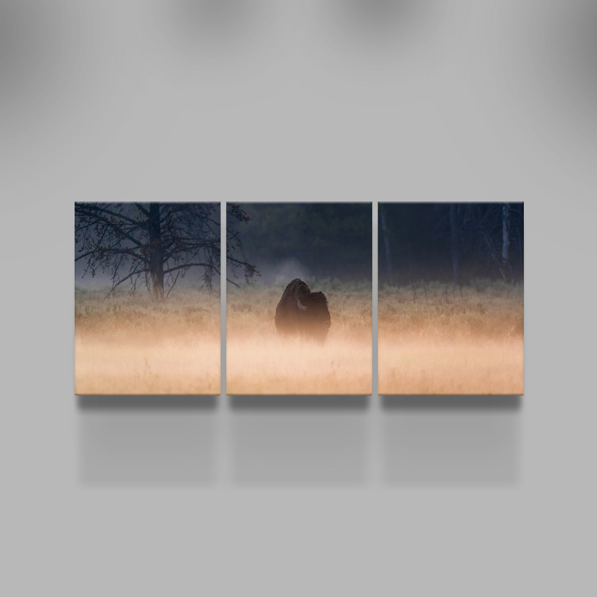 Enchanting Foggy Morning Wall Art by Lucas Moore