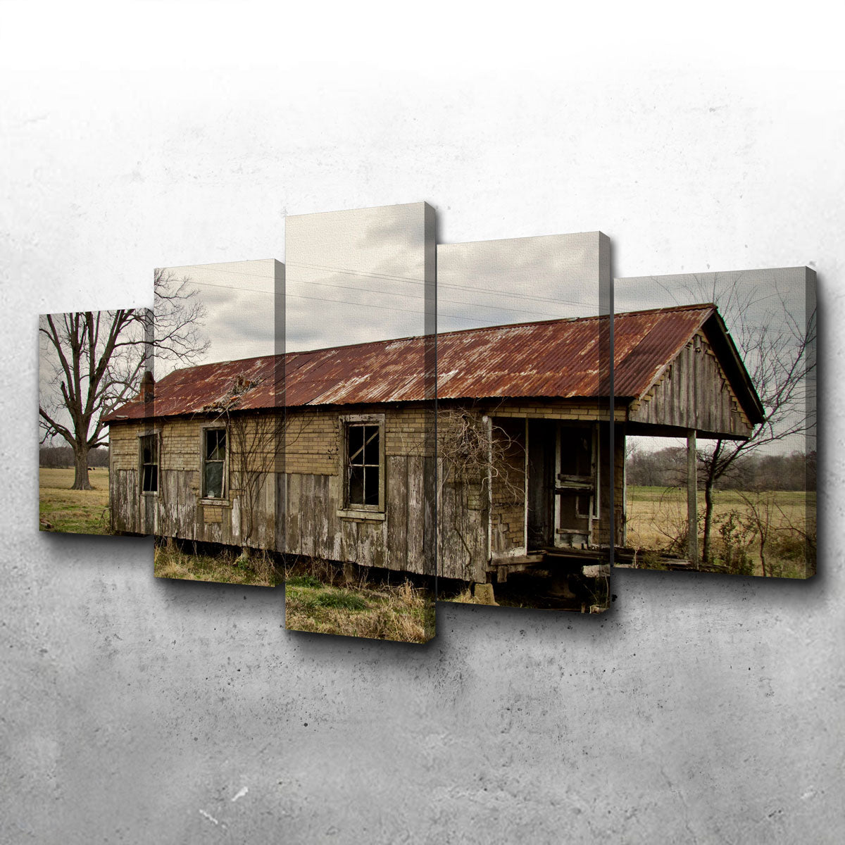 Louisiana Abandoned Cabin Wall Art by David Campbell - Museum Quality Canvas