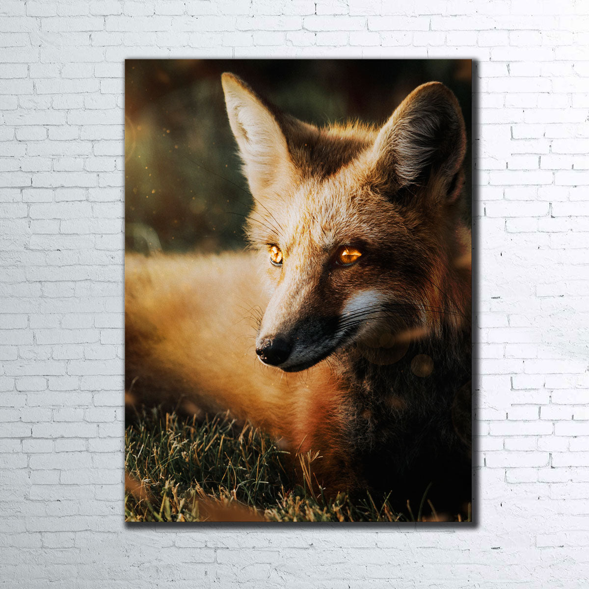 Stunning Fox Wall Art by Manuel Luces