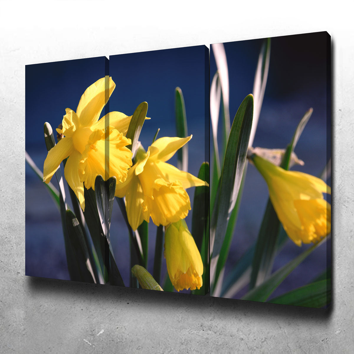 Gorgeous Spring Bloom Wall Art by Shaun Mayer