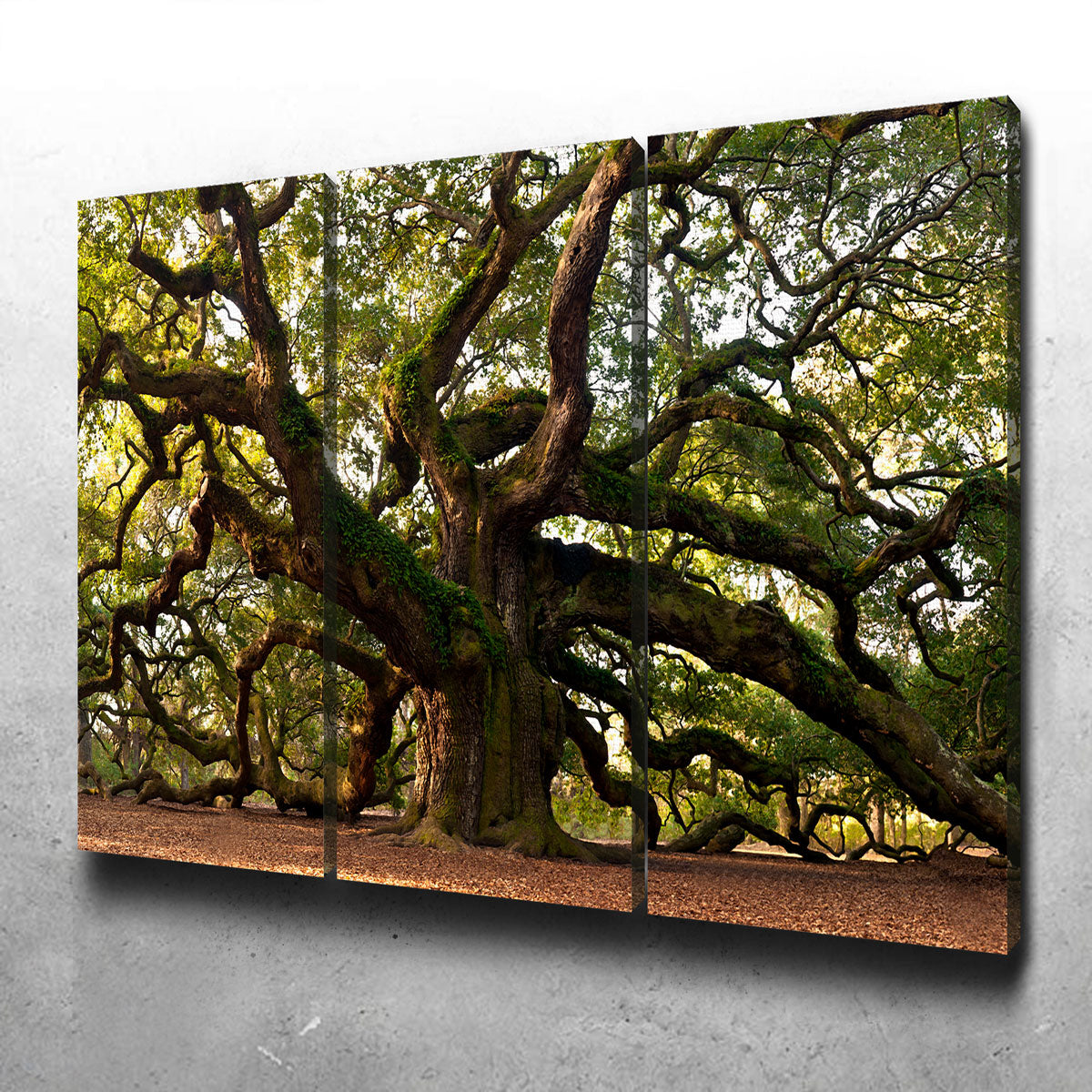 Exquisite Charleston Angel Oak Wall Art for Stunning Home Decor
