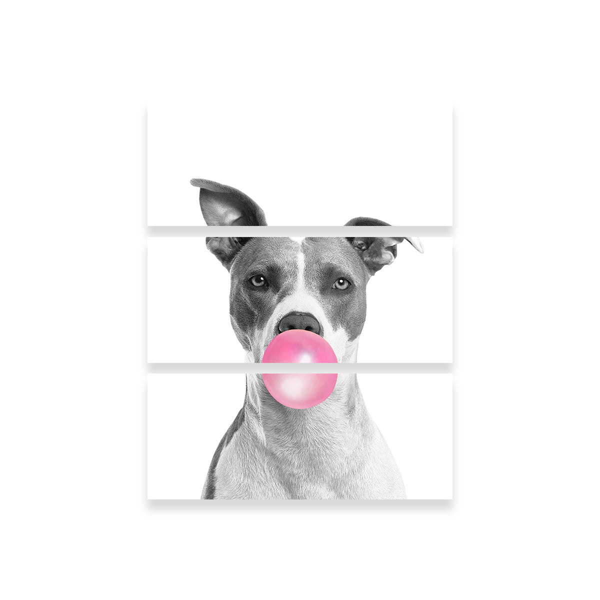 Hilarious Dog Wall Art by Lawisi