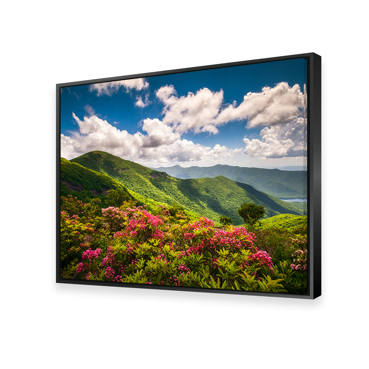 Stunning Blue Ridge Parkway Wall Art for Your Home Decor