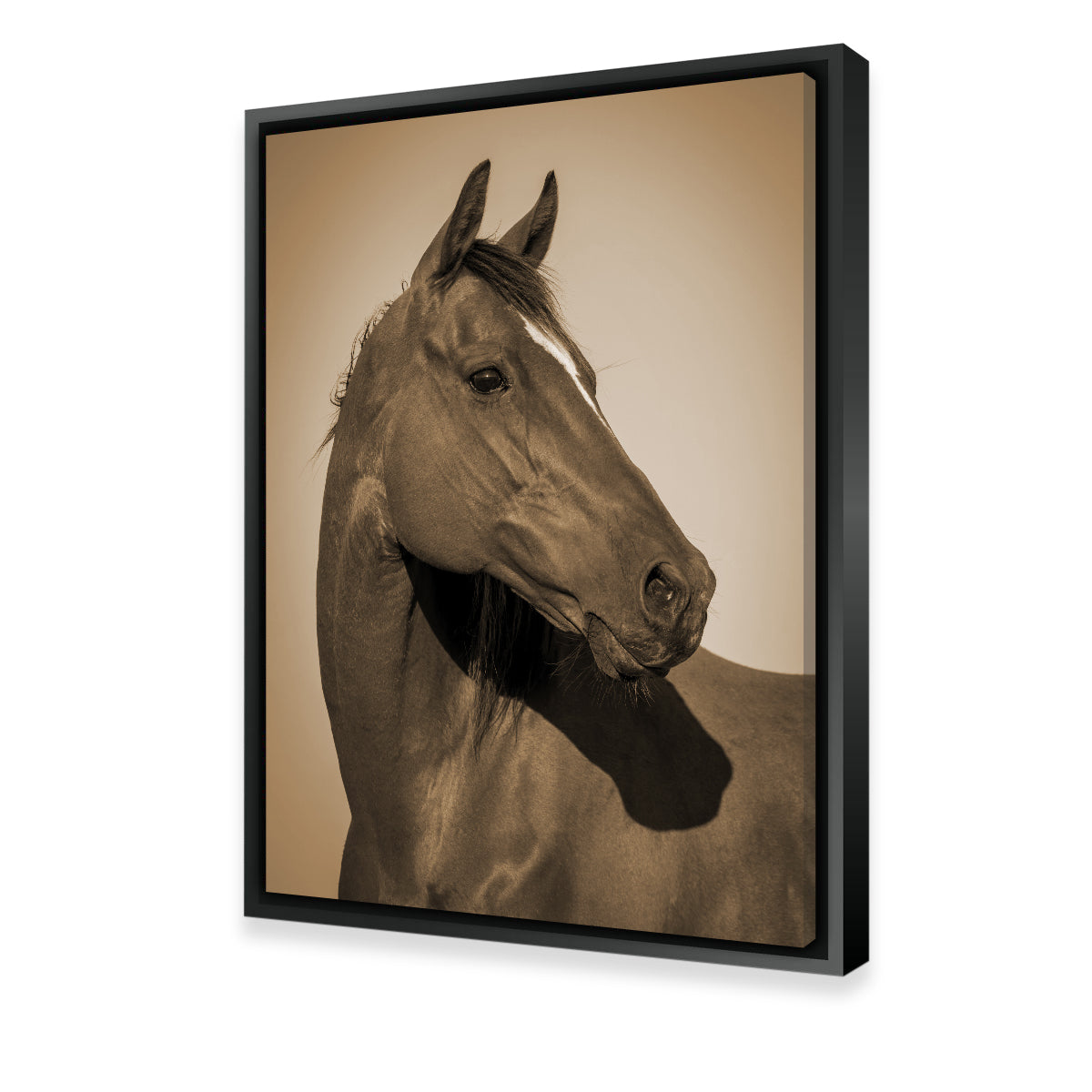 Stunning Quarter Horse Wall Art for Your Home Decor