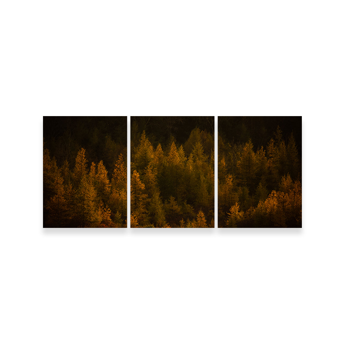 Stunning Golden Slumber Wall Art by Dennis Maida