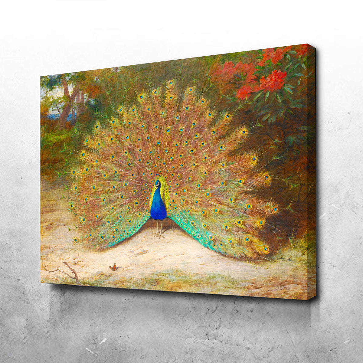 Exquisite Peacock and Peacock Butterfly Wall Art by Archibald Thorburn
