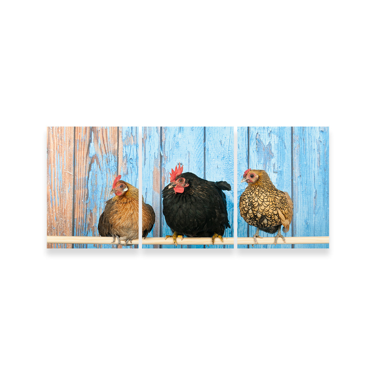 Exquisite Chickens in Henhouse Wall Art for Home Decor
