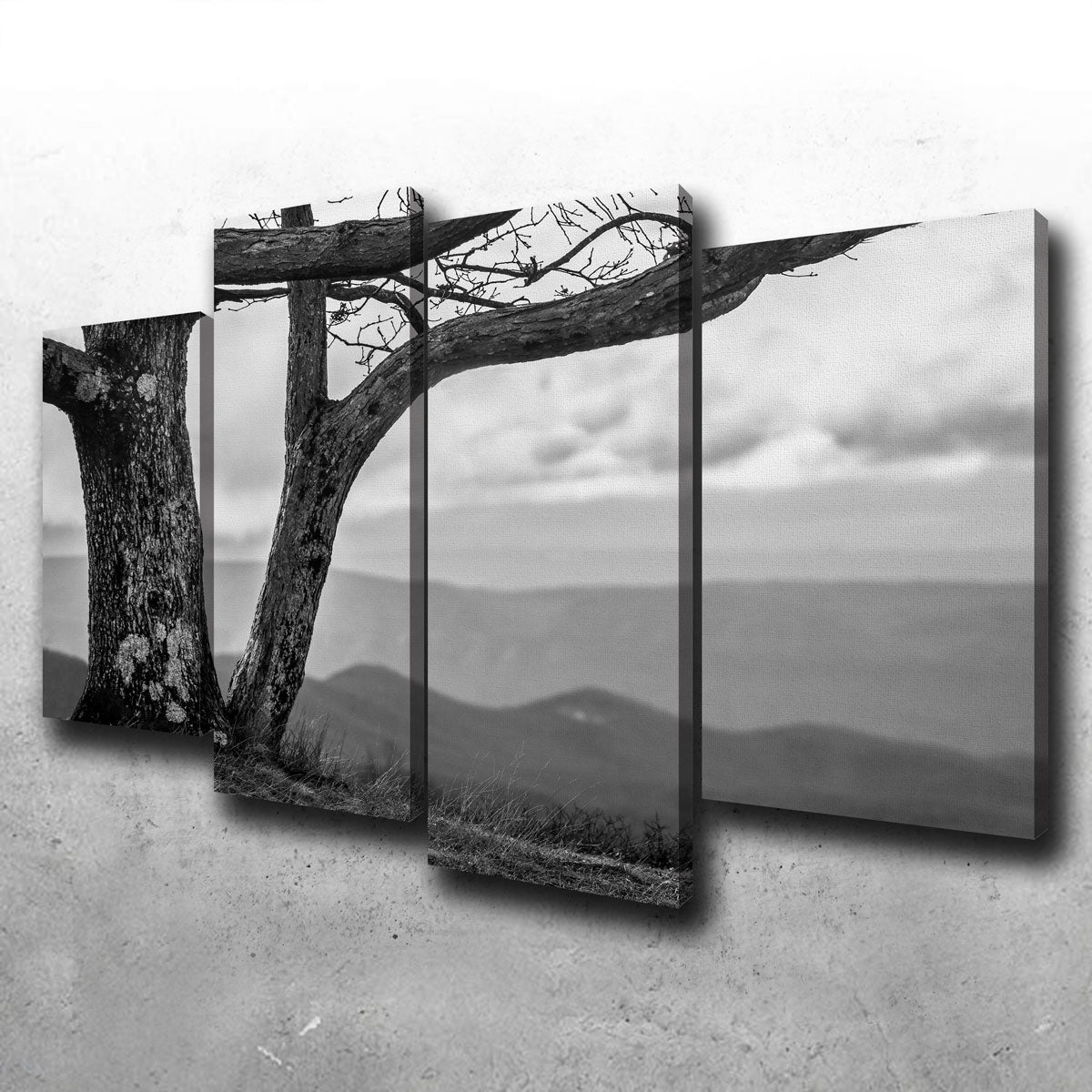 Stunning Desolate Limbs Wall Art by Dennis Maida