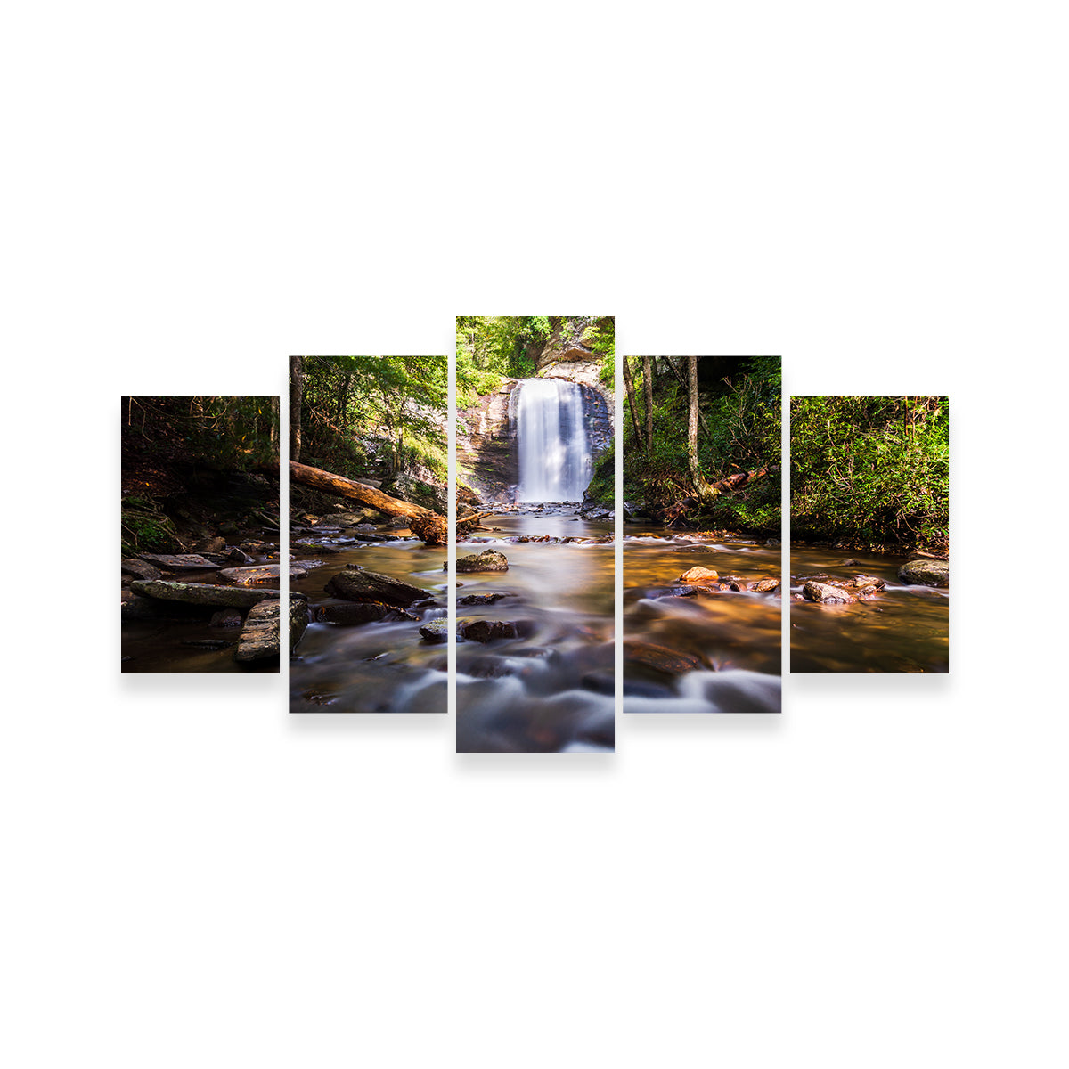Looking Glass Falls, North Carolina Stunning Wall Art by Barry Pack