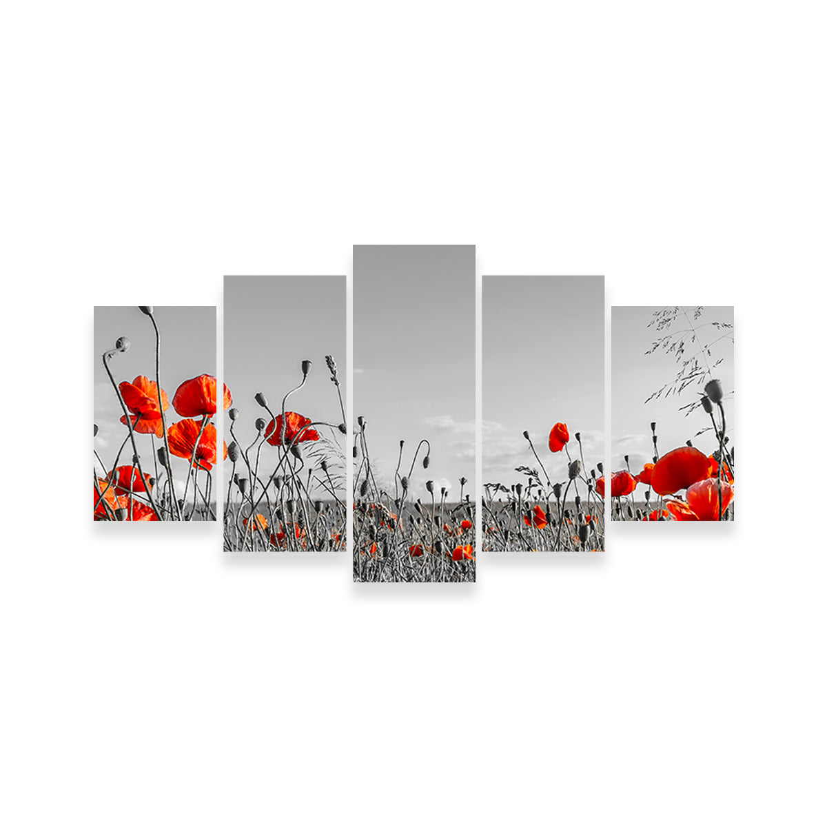 Gorgeous Lovely Poppy Field Wall Art for Home Decor