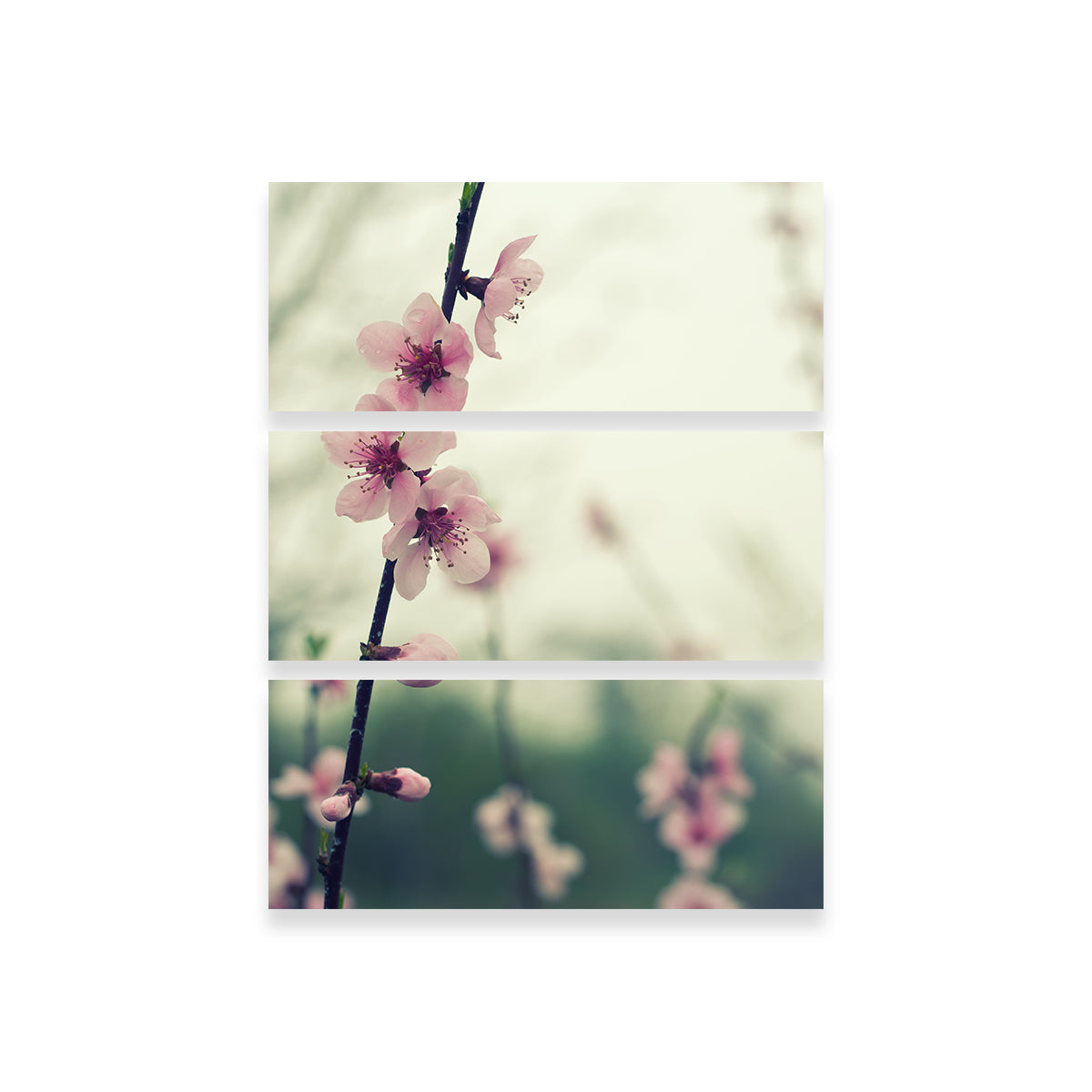 Exquisite Spring Blossom Wall Art for Stunning Home Decor