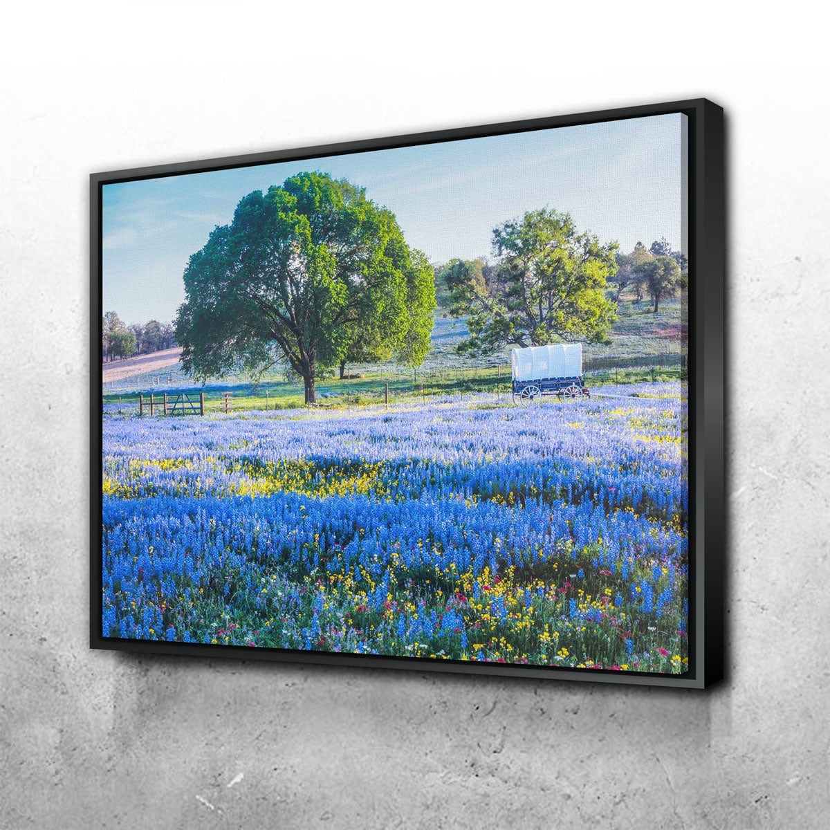 Gorgeous Texas Hill Country in Spring Wall Art for Stunning Home Decor