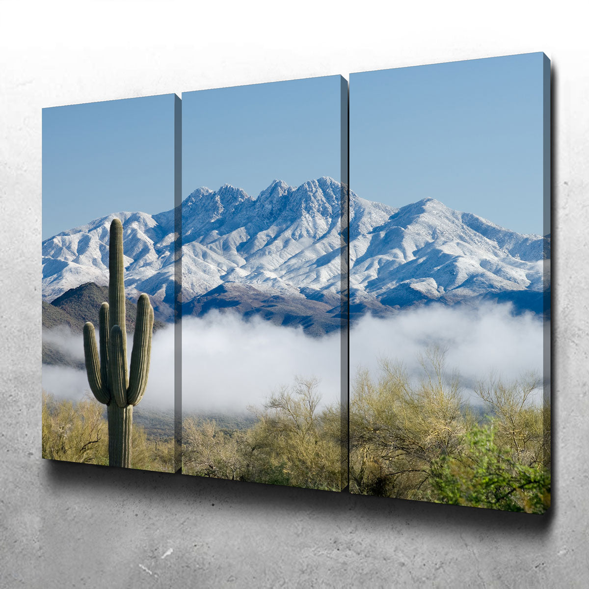 Stunning Saguaro and Four Peaks Wall Art for Your Home Decor