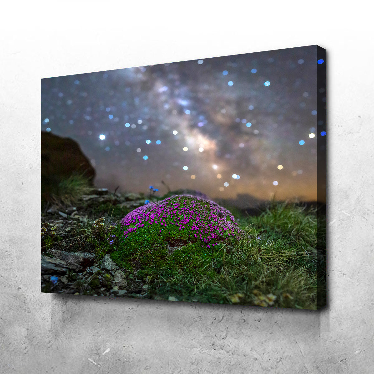 Gorgeous Star Studded Silène Wall Art by Jeff Graphy