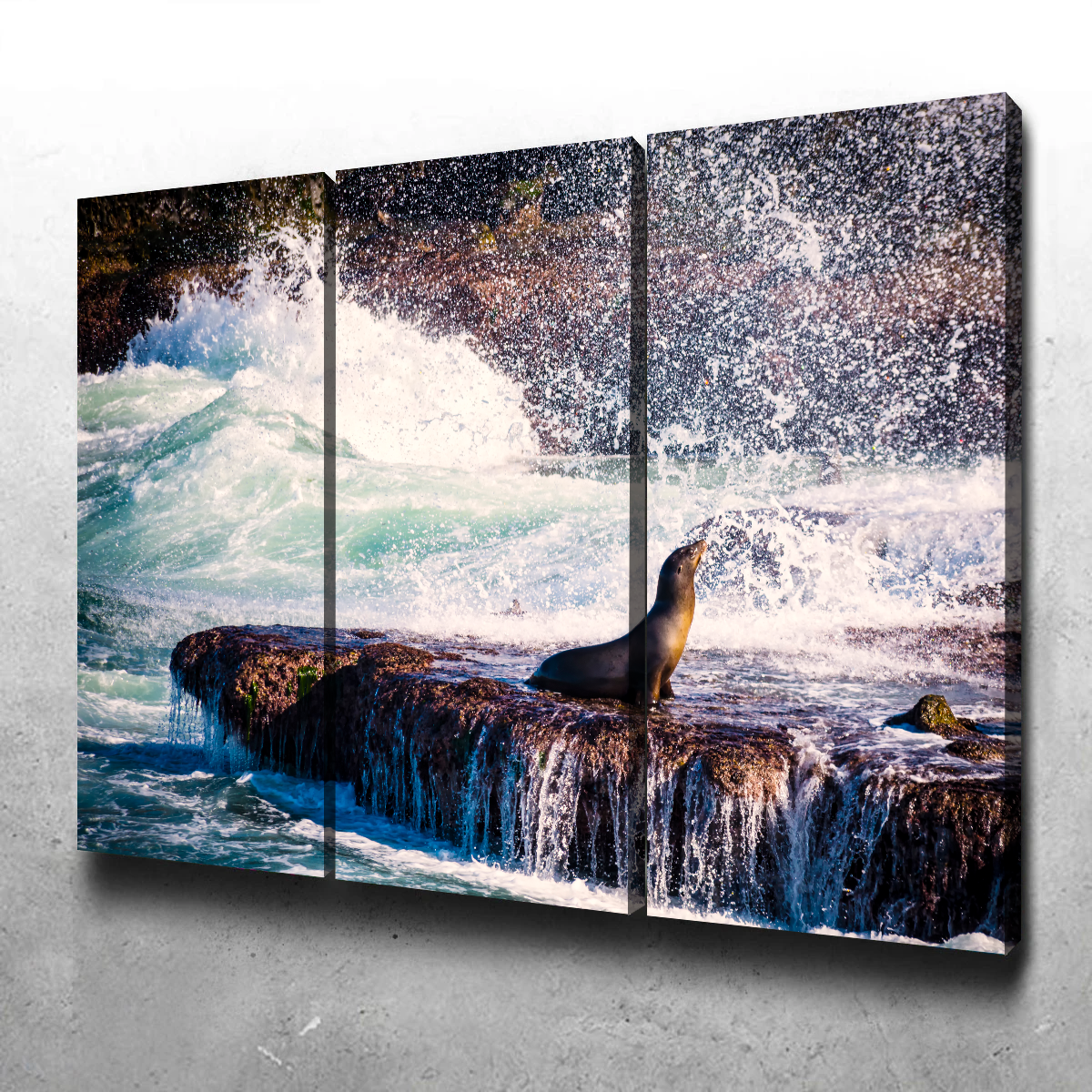 Stunning Sea Lion Surf La Jolla Wall Art for Coastal Home Decor