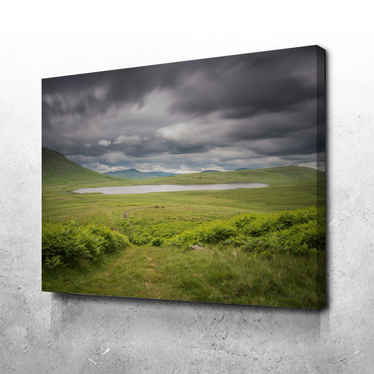 Stunning Lonely Pond Wall Art by Mike Cotton