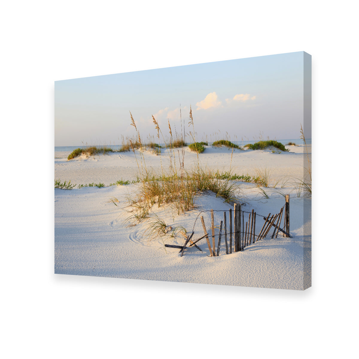 Stunning Sand Dunes and Sea Oats Wall Art for Your Home Decor